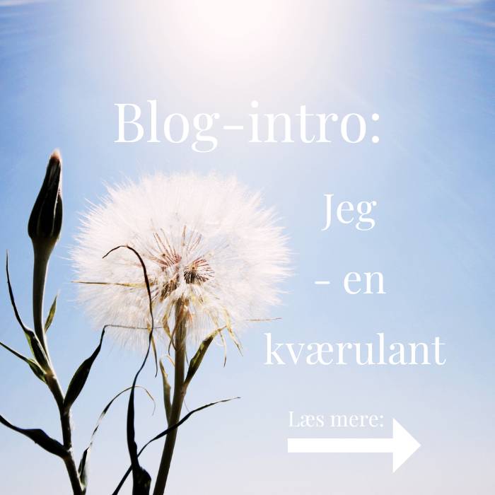 Blog Intro Birgitte Abdel