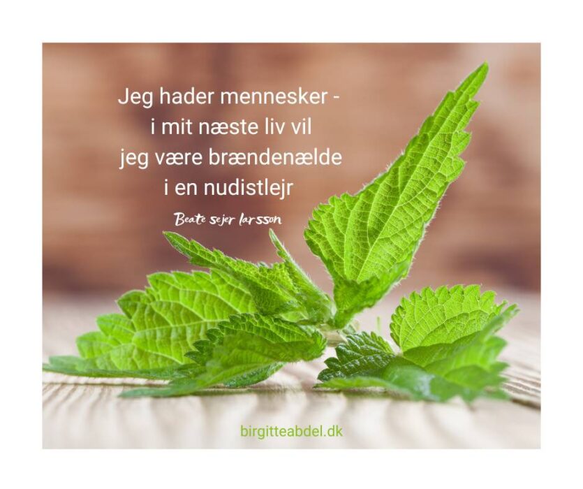 CITAT.BEATE SEJER LARSSON selvværd