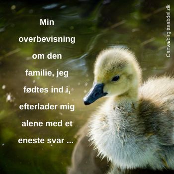 dysfunktionel familie