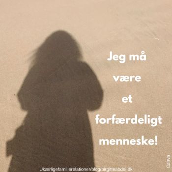 At jeg aldrig fpormåede at elske min mor gør mig til et forfærdeligt menneske