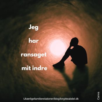JEG HAR ALDRIG ELSKET MIN MOR