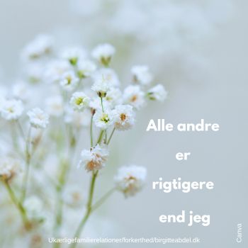 DET KAN DA KUN VAeRE MIG DER ER SAa FORKERT 1 Forkert