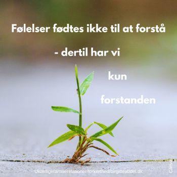 DET KAN DA KUN VAeRE MIG DER ER SAa FORKERT 3 Forkert