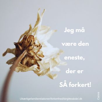 DET KAN DA KUN VAeRE MIG DER ER SAa FORKERT Forkert