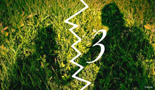 JEG HAR ALDRIG ELSKET MIN MOR 10 ALDRIG ELSKET MIN MOR